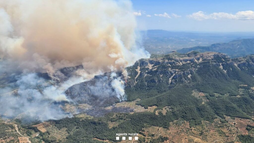 Incendio en Paüls: Desafíos y Estrategias en la Lucha Contra el Fuego