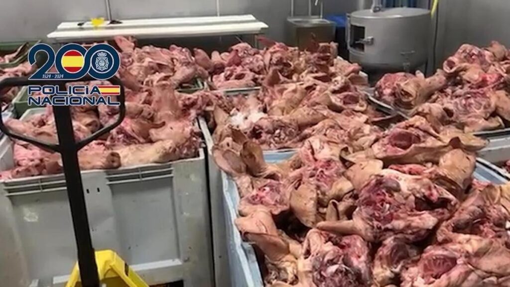 Detención de Empresario por Distribución de Carne Adulterada y Explotación Laboral