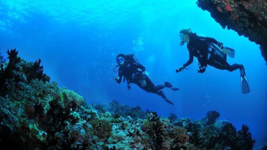Explora el Mar Cantábrico: Bautizos de Buceo en Hondarribia