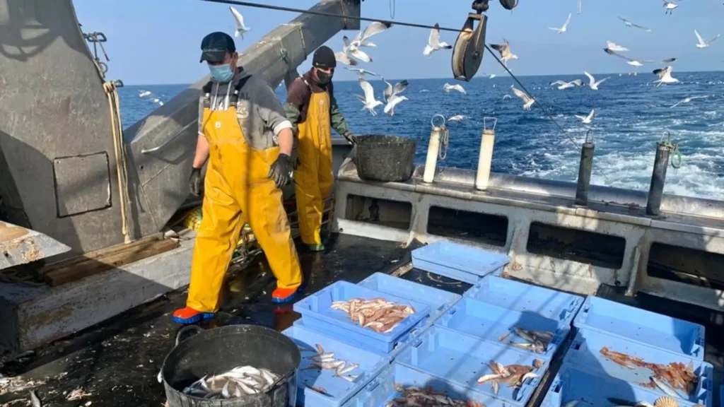 Acuerdo Pesquero en la UE: Un Respiro para la Flota Española en el Mediterráneo