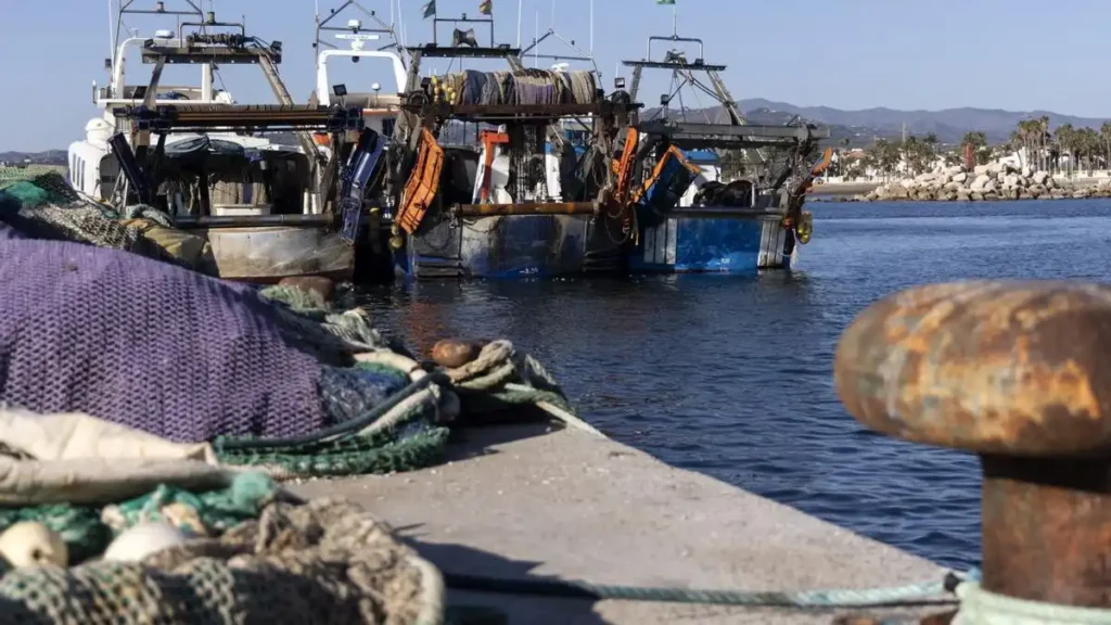 Ampliación de Días de Pesca en el Mediterráneo: Un Respiro para la Flota