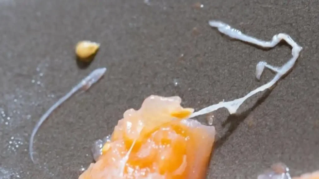 Cómo Disfrutar del Pescado sin Preocupaciones por el Anisakis