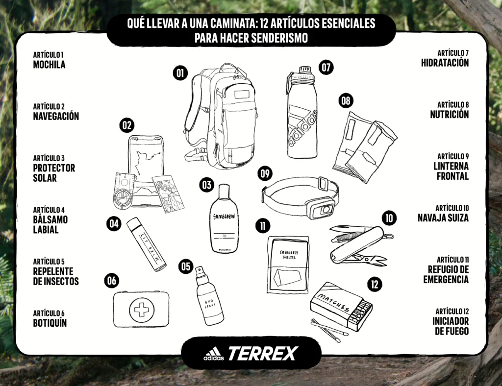 Diez Reglas Esenciales para Disfrutar del Senderismo en el Otoño
