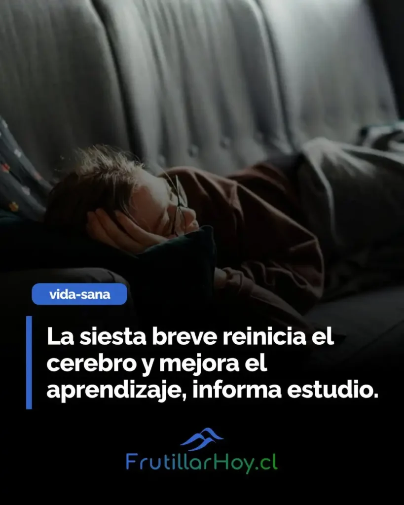 El Poder Restaurador de la Siesta: Cómo un Breve Descanso Puede Mejorar tu Aprendizaje