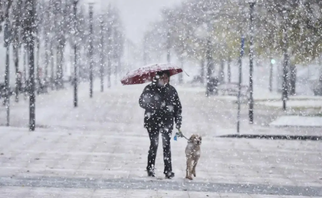Euskadi se Prepara para un Temporal de Nieve y Frío Intenso