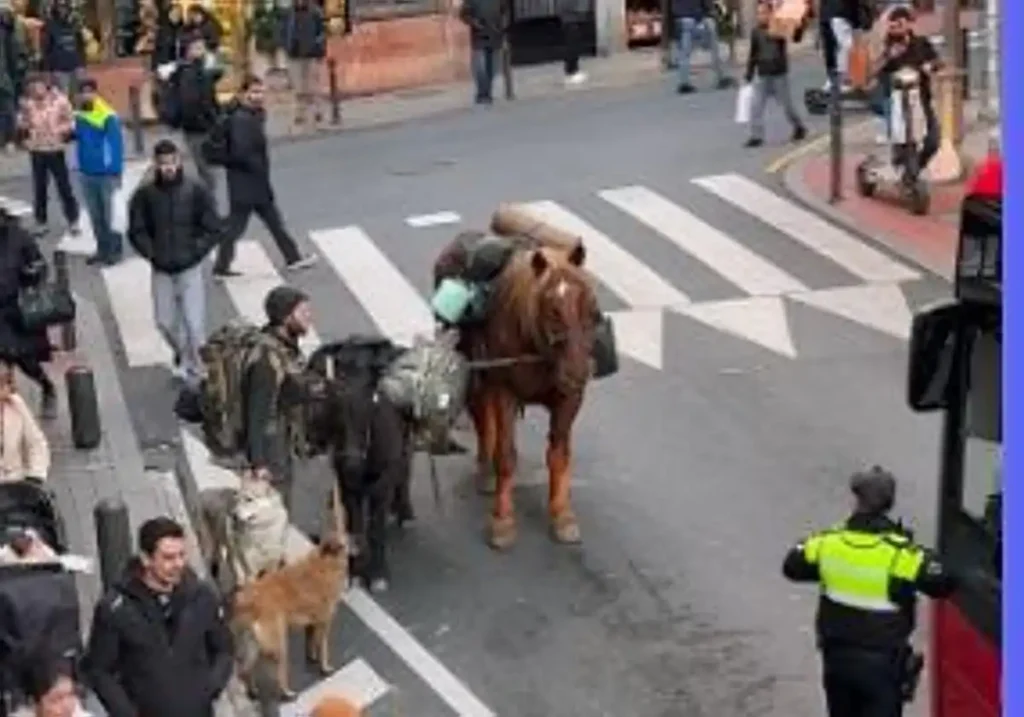 La Aventura de Jakub: Un Viaje Inusual por Bilbao con Caballos y Poni