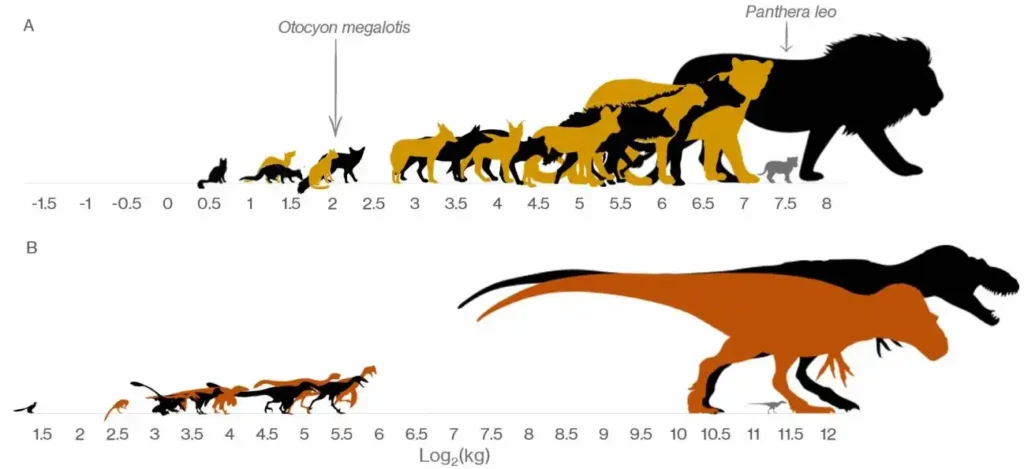 Revelaciones sobre la velocidad y locomoción de los dinosaurios carnívoros
