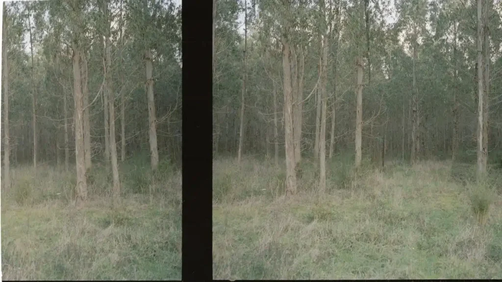 Distancia en la fotografía: cómo Uxío da Vila transforma lo tangible en metáfora visual
