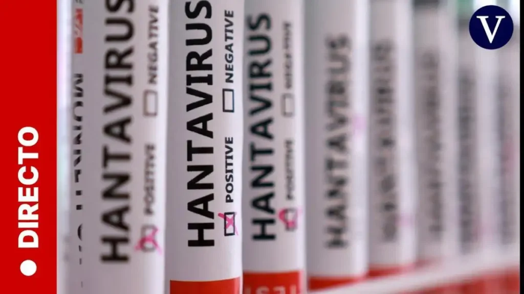 Hantavirus brote crucero: síntomas, transmisión y medidas oficiales